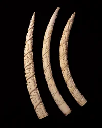 Geschnitzte Stoßzähne, Kongo